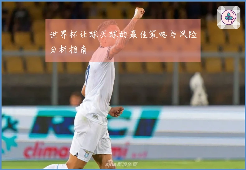 世界杯让球买球的最佳策略与风险分析指南