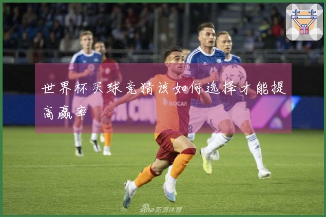 世界杯买球竞猜该如何选择才能提高赢率