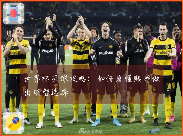 世界杯买球攻略：如何看懂赔率做出明智选择