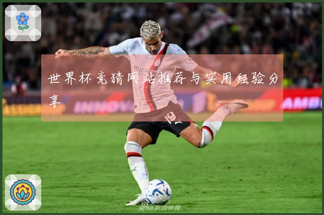 世界杯竞猜网站推荐与实用经验分享