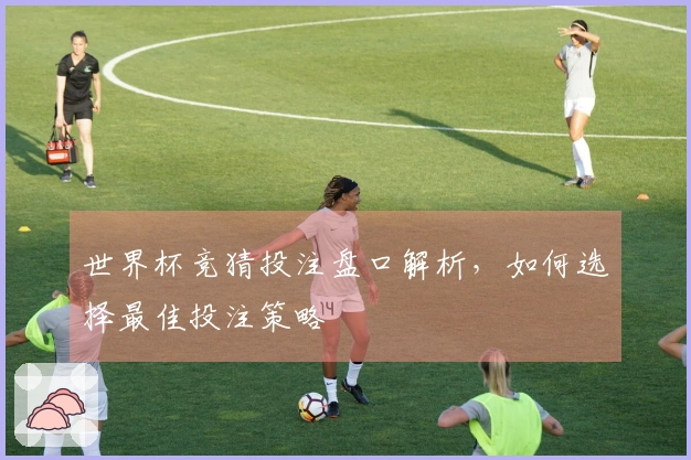 世界杯竞猜投注盘口解析，如何选择最佳投注策略