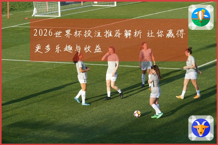 2026世界杯投注推荐解析 让你赢得更多乐趣与收益