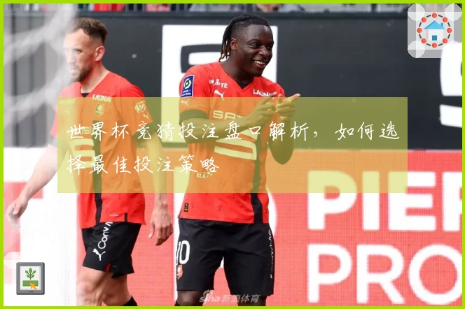世界杯竞猜投注盘口解析，如何选择最佳投注策略