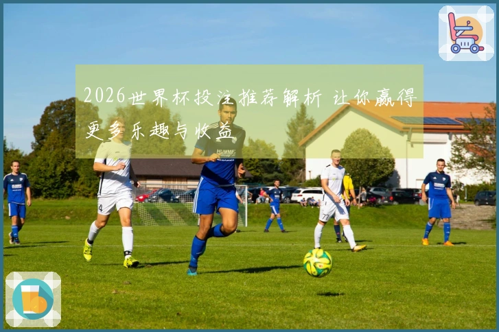 2026世界杯投注推荐解析 让你赢得更多乐趣与收益